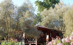 Gites Chalets De Grosseto-Prugna