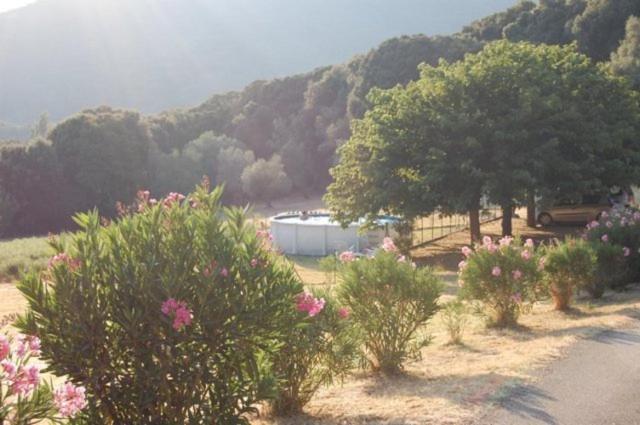 Gites Chalets De Grosseto-Prugna Exterior foto