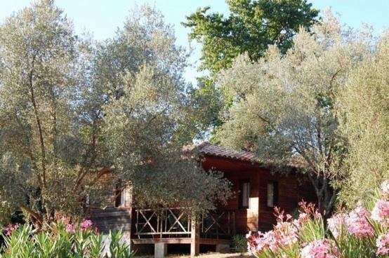 Gites Chalets De Grosseto-Prugna Exterior foto